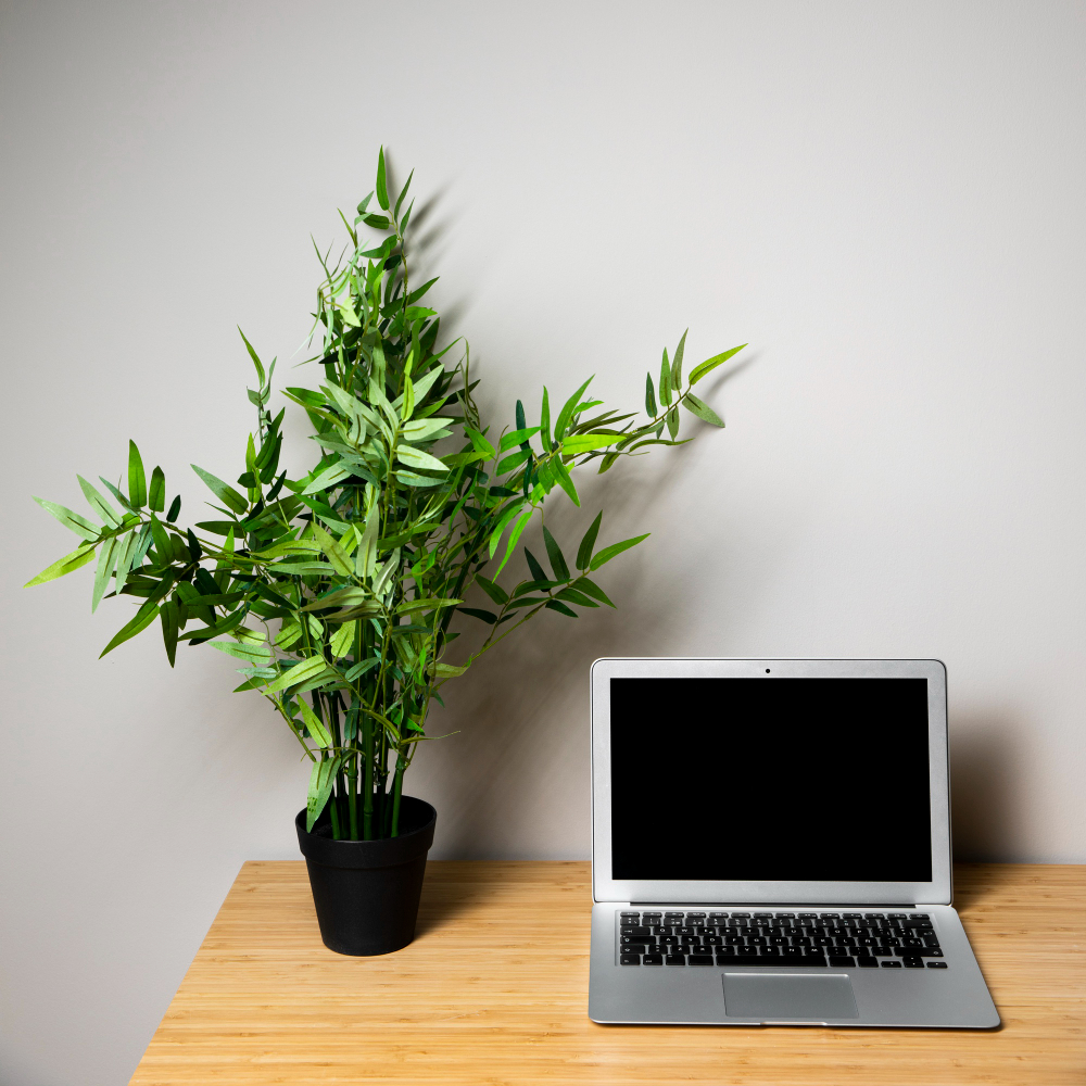 Un bambou sur un bureau